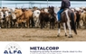 Metalcorp - Proud Platinum Sponsor of ALFA